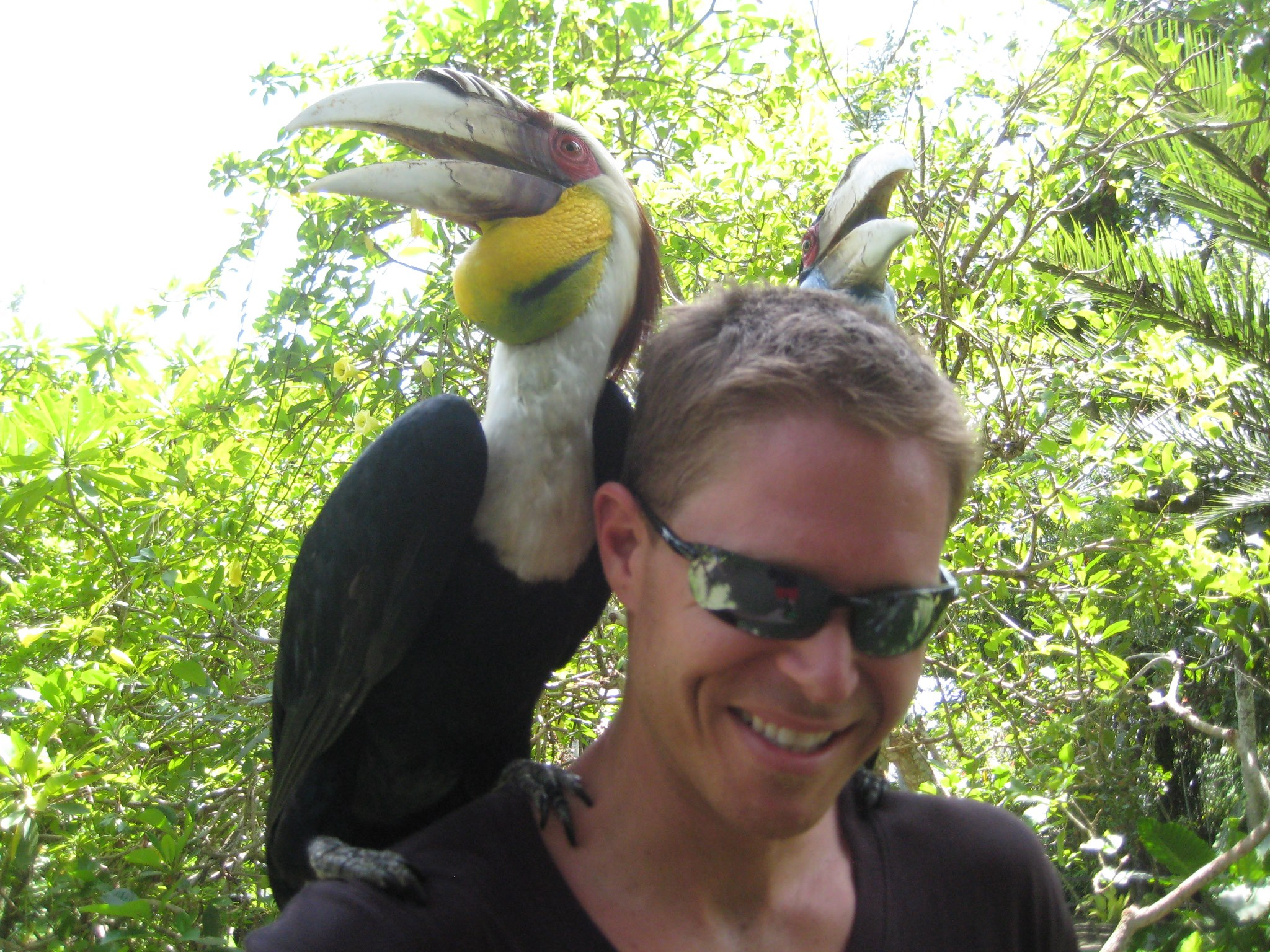 Derek With Tropical Bird on Shoulder