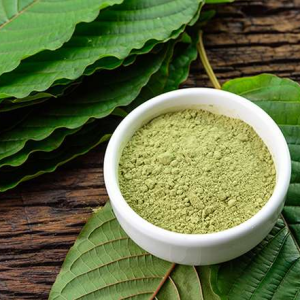 White Borneo Kratom Powder in Bowl on Kratom Leaf